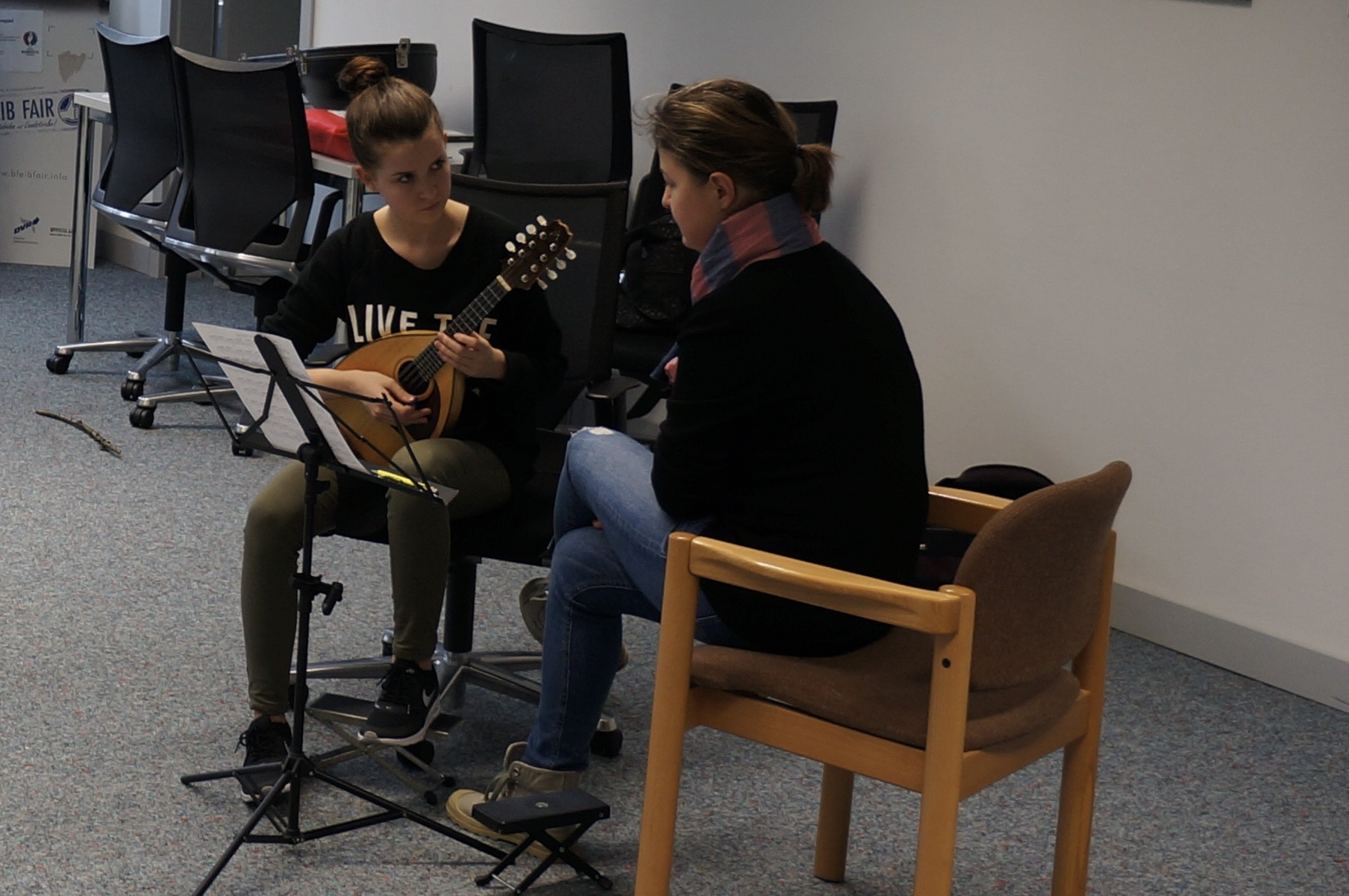 Ausbilder Lehrgang Unterricht Mandola Mandoline Gitarre  BDZ Baden-Württemberg